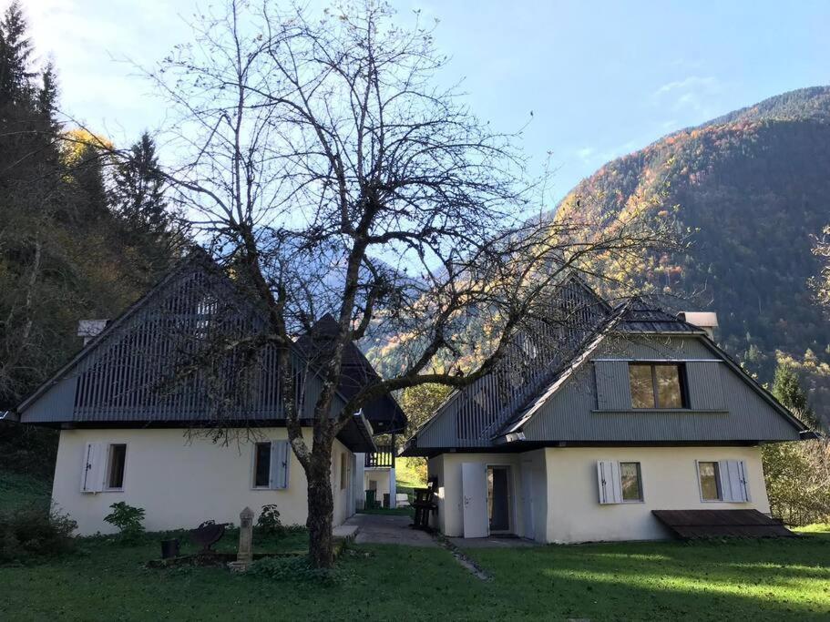 Cozy Cottage In The Heart Of The Triglav National Park Soča Exteriér fotografie