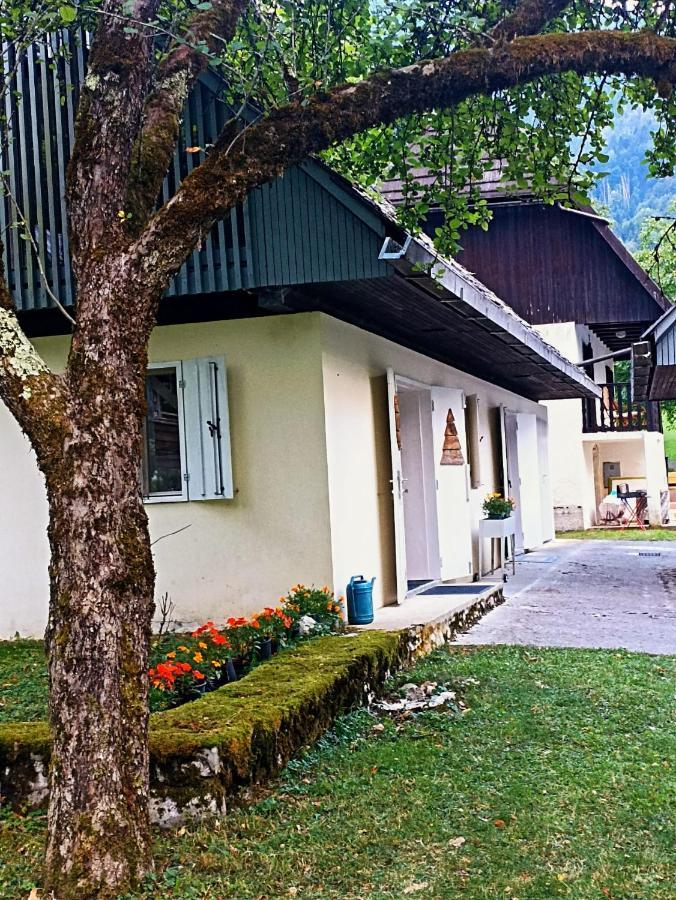 Cozy Cottage In The Heart Of The Triglav National Park Soča Exteriér fotografie