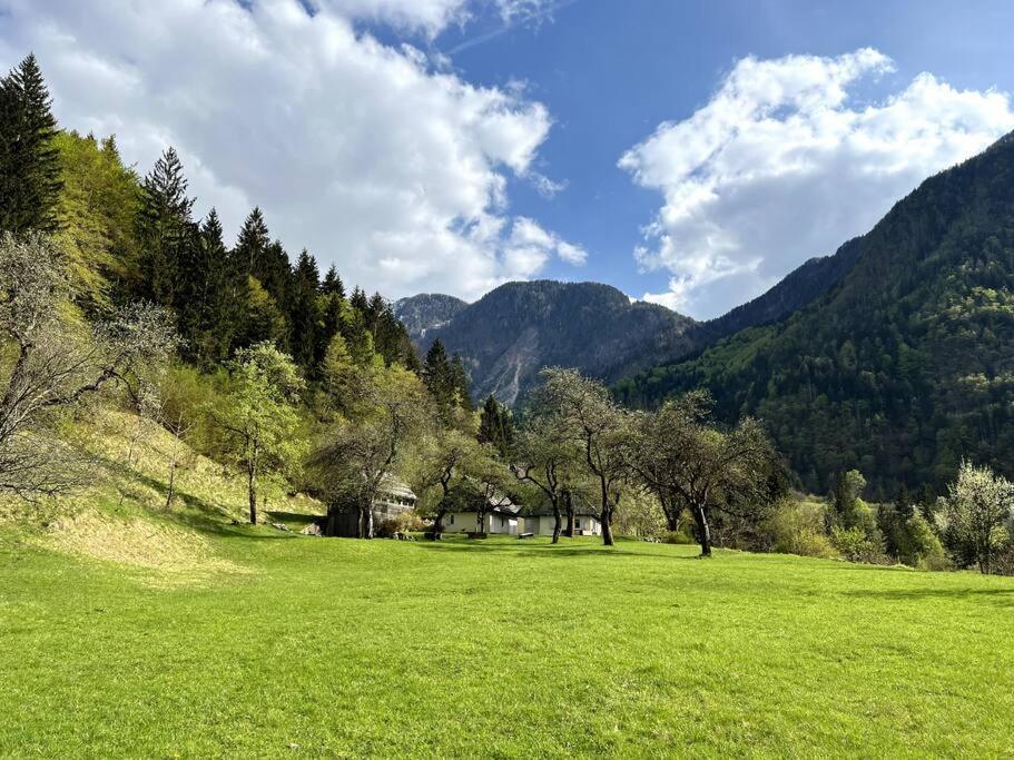 Cozy Cottage In The Heart Of The Triglav National Park Soča Exteriér fotografie